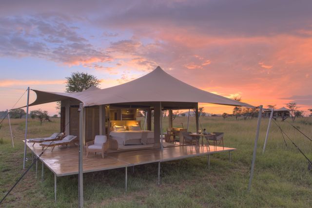 Roving Bushtops - Mobiel tented camp